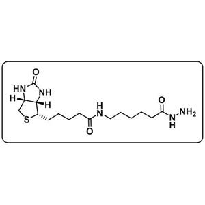 Biotin-LC-Hydrazide