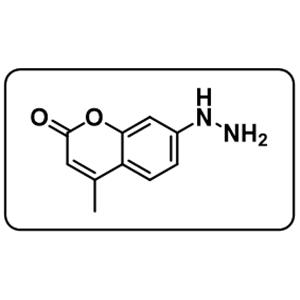 Coumarin hydrazine