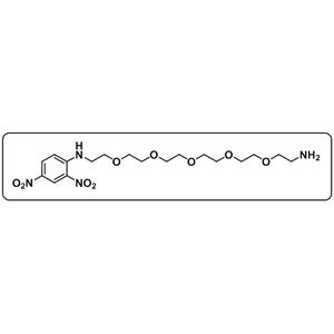 DNP-PEG5-NH2