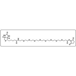 Biotin-PEG8-NHS ester