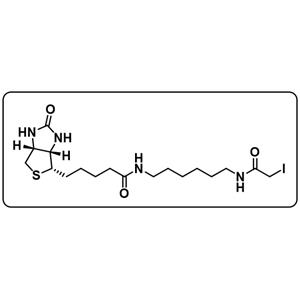 Biotin-C6-iodoacetamide
