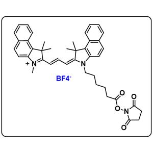 Cyanine3.5 NHS ester（BF4）