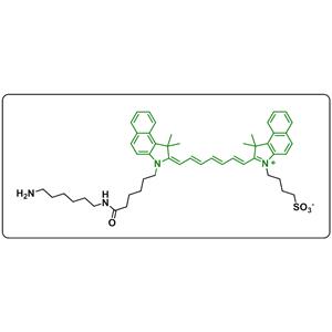 ICG-amine