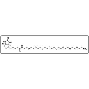 Biotin-PEG8-amine