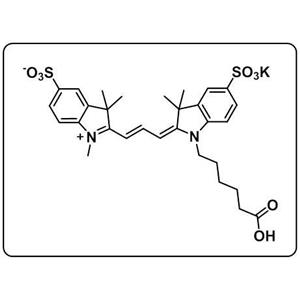 diSulfo-Cy3 carboxylic acid