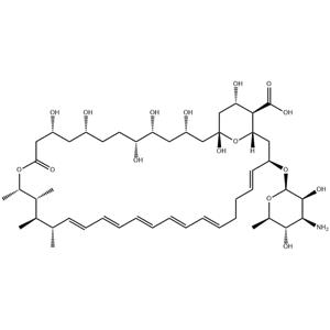 Amphotericin B