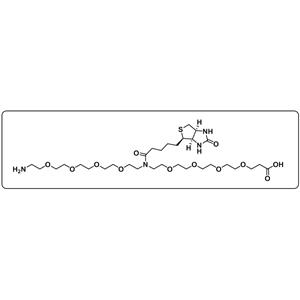 N-(Amino-PEG4)-N-Biotin-PEG4-acid