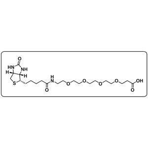 Biotin-PEG4-COOH