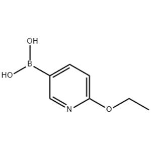(6-ETHOXYPYRIDIN-3-YL)BORONIC ACID