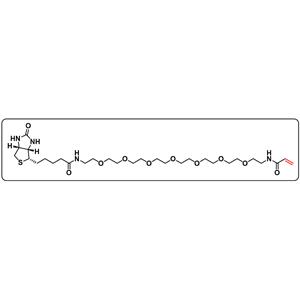 Biotin-PEG7-Acrylamide
