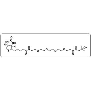 N-(2-hydroxy-2-methylpropyl)-1-(5-((3aS,4S,6aR)-2-oxohexahydro-1H-thieno[3,4-d]imidazol-4-yl)pentanamido)-3,6,9,12-tetraoxapentadecan-15-amide