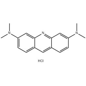 ACRIDINE ORANGE