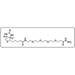 Biotin-PEG4-hydrazide