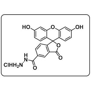 5-FAM hydrazide HCl