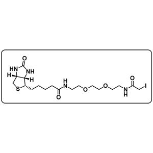 Biotin-PEG2-iodoacetamide