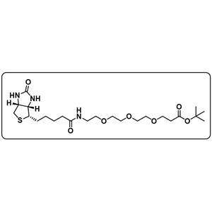 Biotin-PEG3-Boc