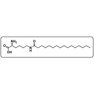 N6-(1-oxohexadecyl)-L-lysine
