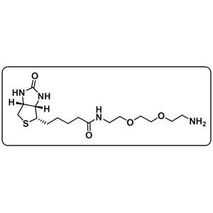 Biotin-PEG2-amine