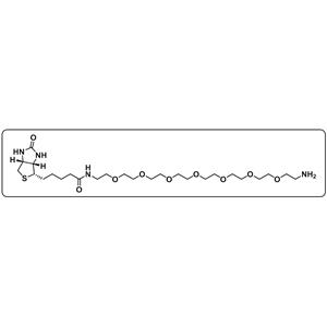Biotin-PEG7-amine