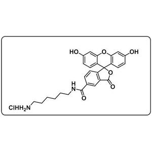 5-FAM amine HCl