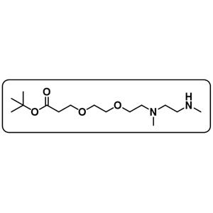 N,N'-DME-N-PEG2-Boc