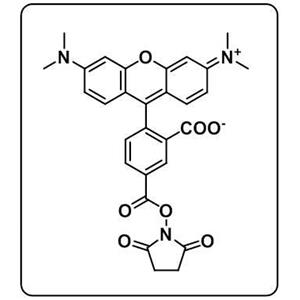 5-TAMRA NHS ester