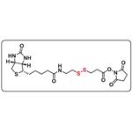 Biotin-SS-NHS ester pictures