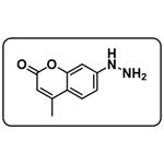 Coumarin hydrazine pictures