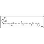 Biotin-XX Tyramide Reagent pictures