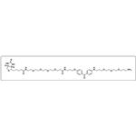 UV-Tracer Biotin amine pictures