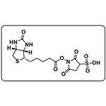 Biotin sulfo-N-hydroxysuccinimide ester pictures