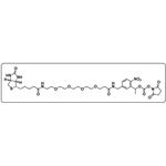 PC-Biotin-PEG4-NHS carbonate pictures