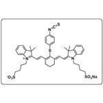 NIR-797-isothiocyanat pictures