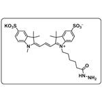 diSulfo-Cy3 hydrazide pictures