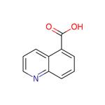 Quinoline-5-carboxylic acid pictures