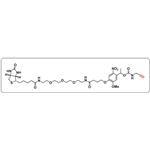 PC Biotin-PEG3-alkyne pictures