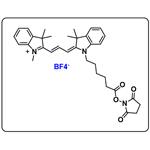 Cyanine3 NHS ester (BF4) pictures