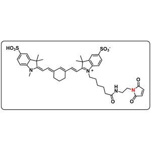 diSulfo-Cy7 maleimide (inner salt)