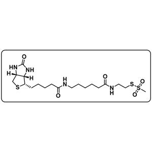 MTSEA-X-Biotin [N-Biotinoylcaproylaminoethyl methanethiosulfonate]