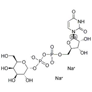 UDP-D-galactose