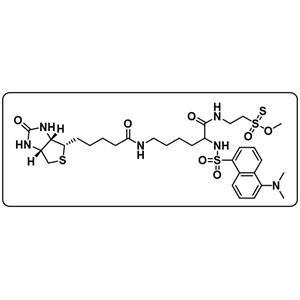 MTS-DB [(N-Dansyl)biocytinamidoethyl methanethiosulfonate]