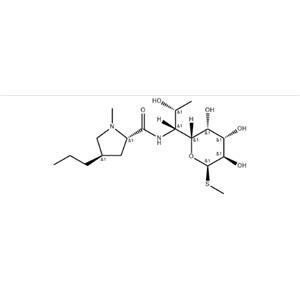 Lincomycin Hcl