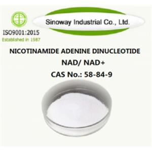 Nicotinamide Adenine Dinucleotide