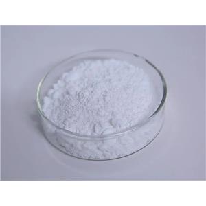 Procaine Benzylpenicillin