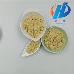 Citicoline sodium salt