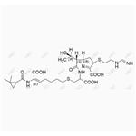 Imipene Cilastatin Adduct 1 pictures