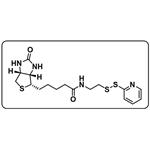 PDTE-Biotin [Biotin-[2-(2-pyridyldithio)ethylamide]] pictures
