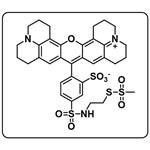 SR101-MTSEA [SulfoRhodamine101-2-Sulfonamidoethyl] pictures