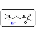 MTSPT [3-(Trimethylammonium)propyl methanethiosulfonate bromide] pictures