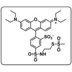 MTSR [Sulfo-rhodamine methanethiosulfonate] pictures